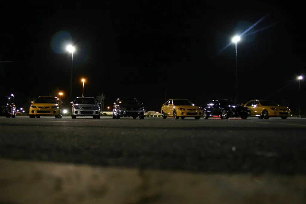pic4.webp