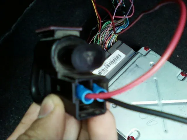PIC_0098.webp