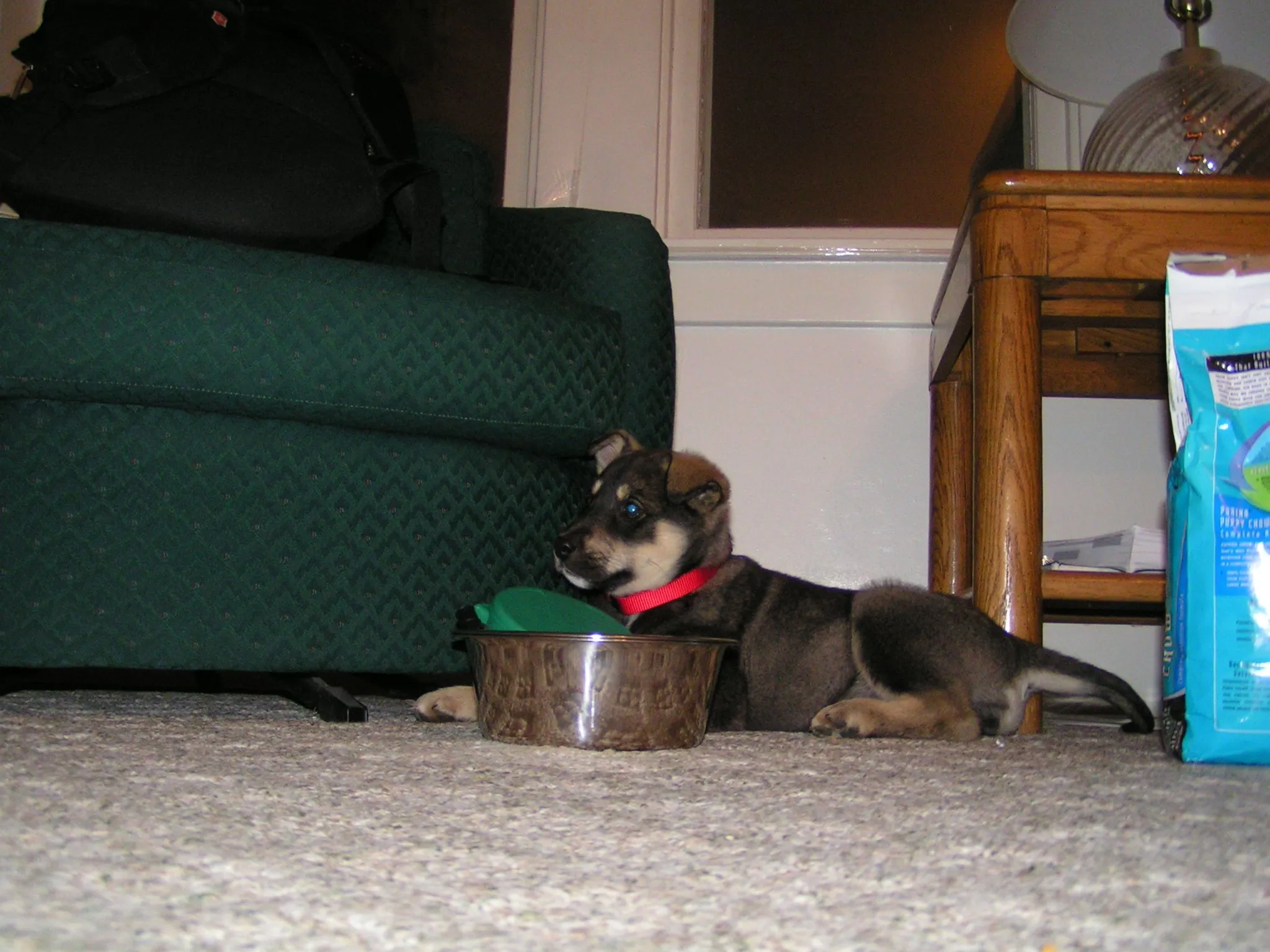 PICT0010.webp
