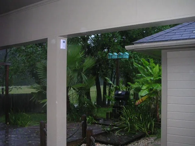 PICT0497.webp