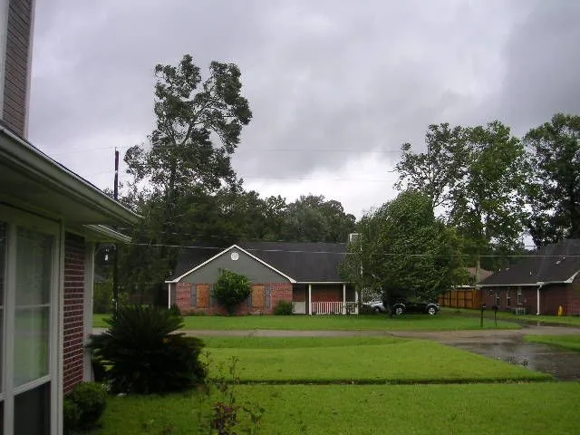 PICT0499.webp