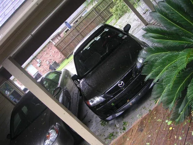 PICT0511.webp