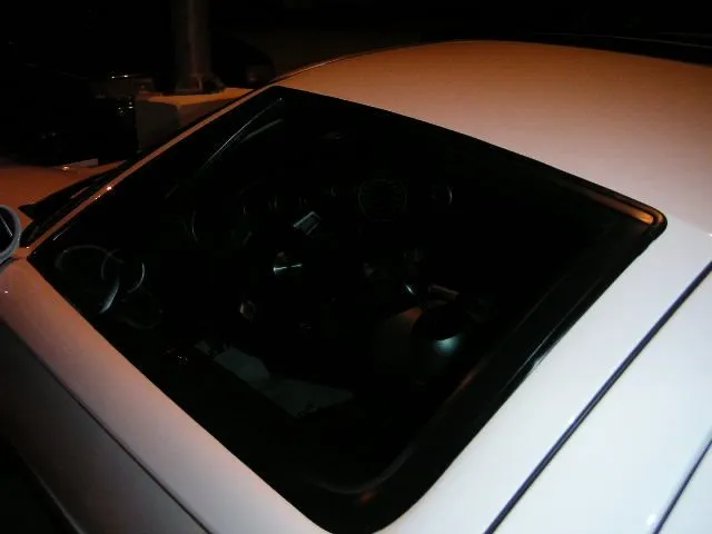 PICT0590.webp
