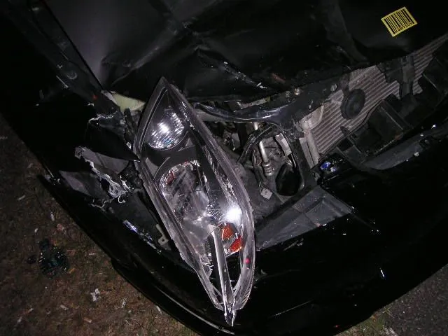 PICT1130.webp