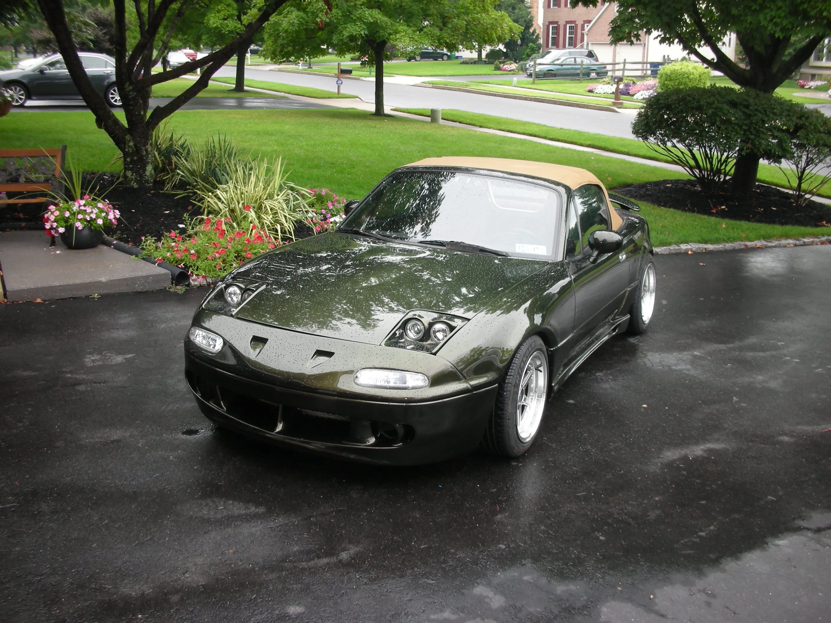 Picture 004.webp