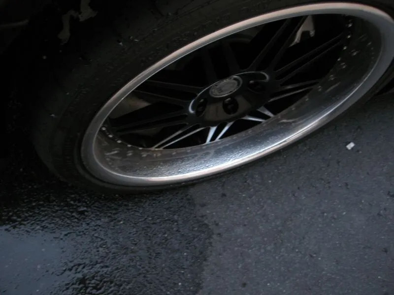 Picture 005.webp