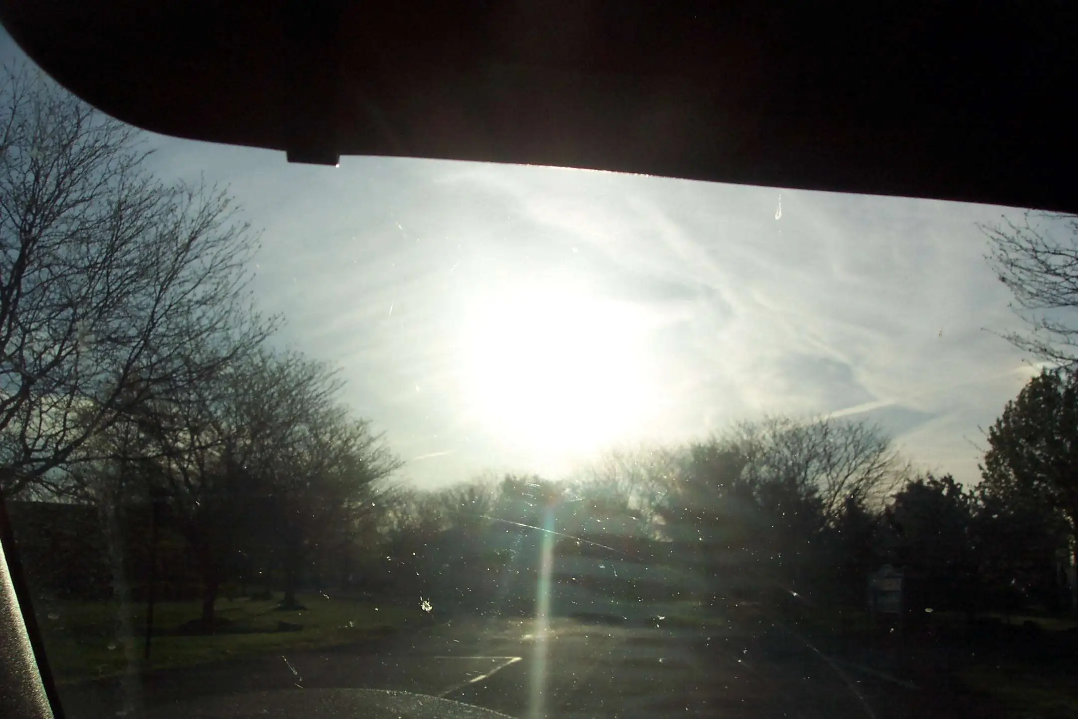 Picture 006.jpg