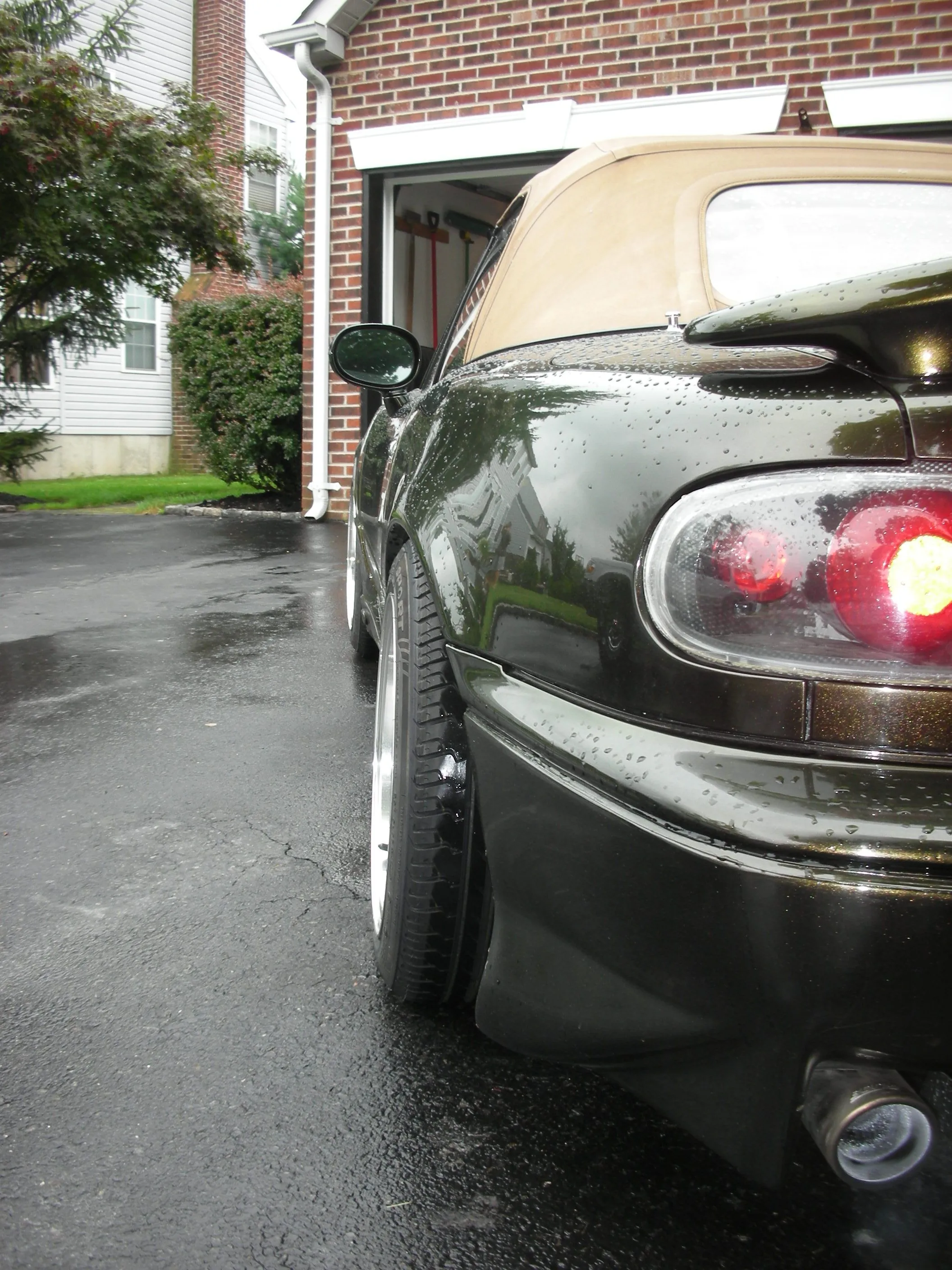 Picture 006.webp