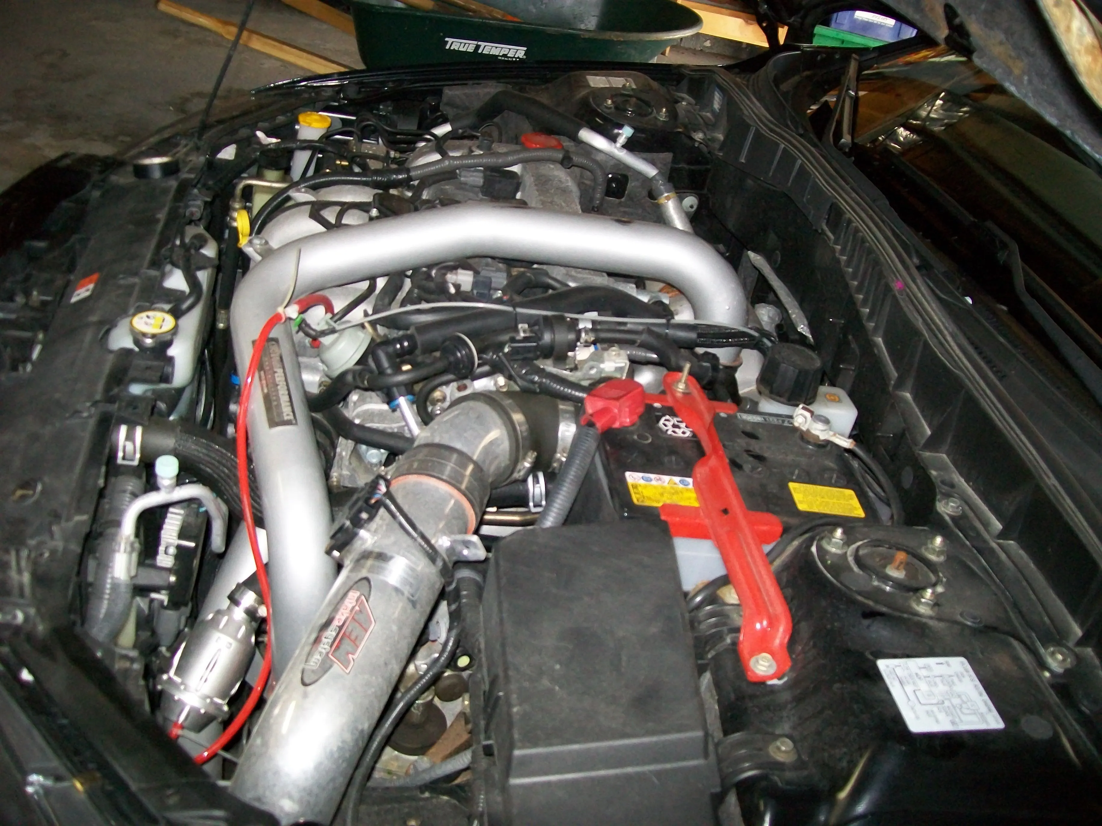 Picture 007.webp
