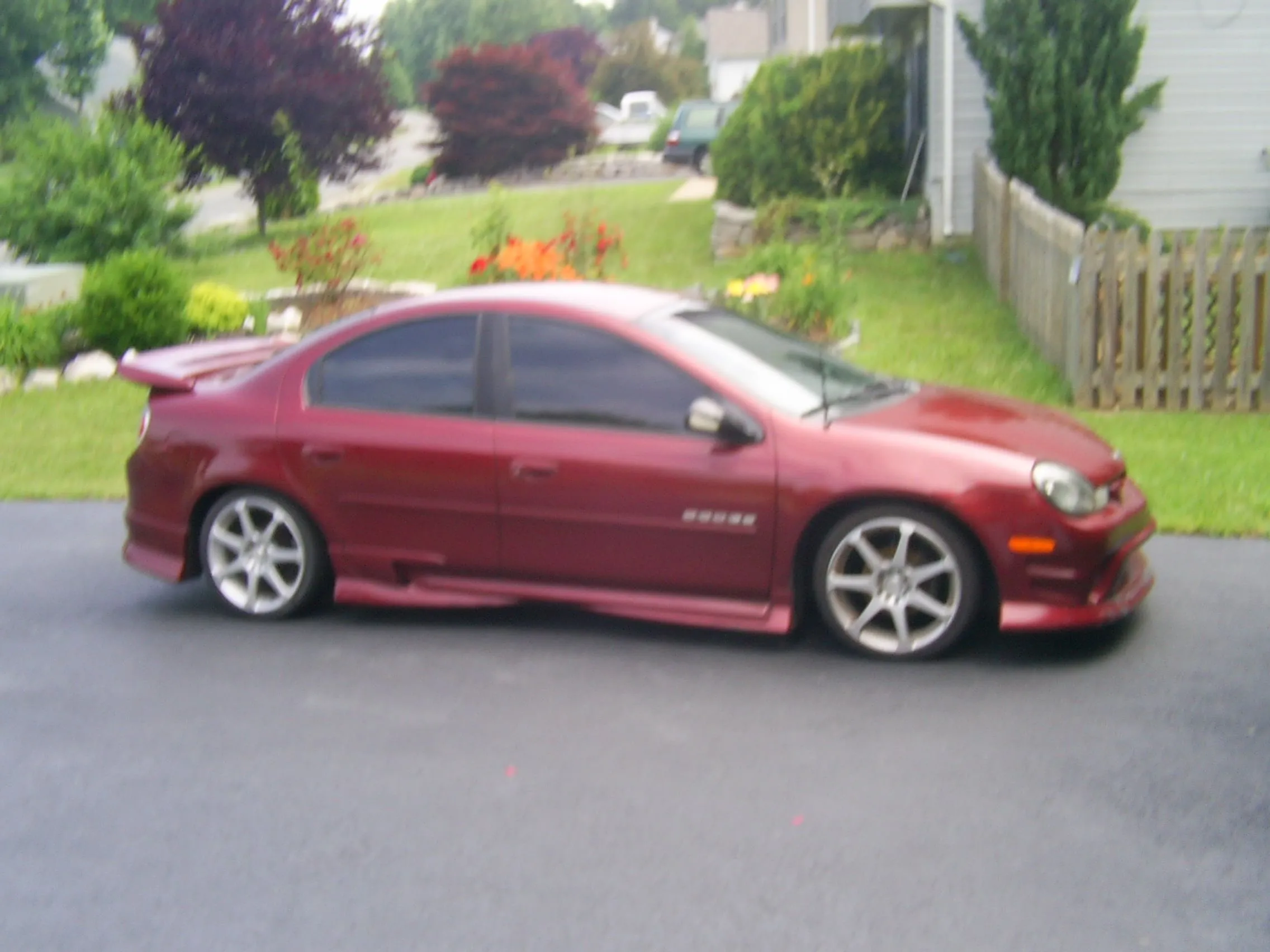 Picture 009.webp