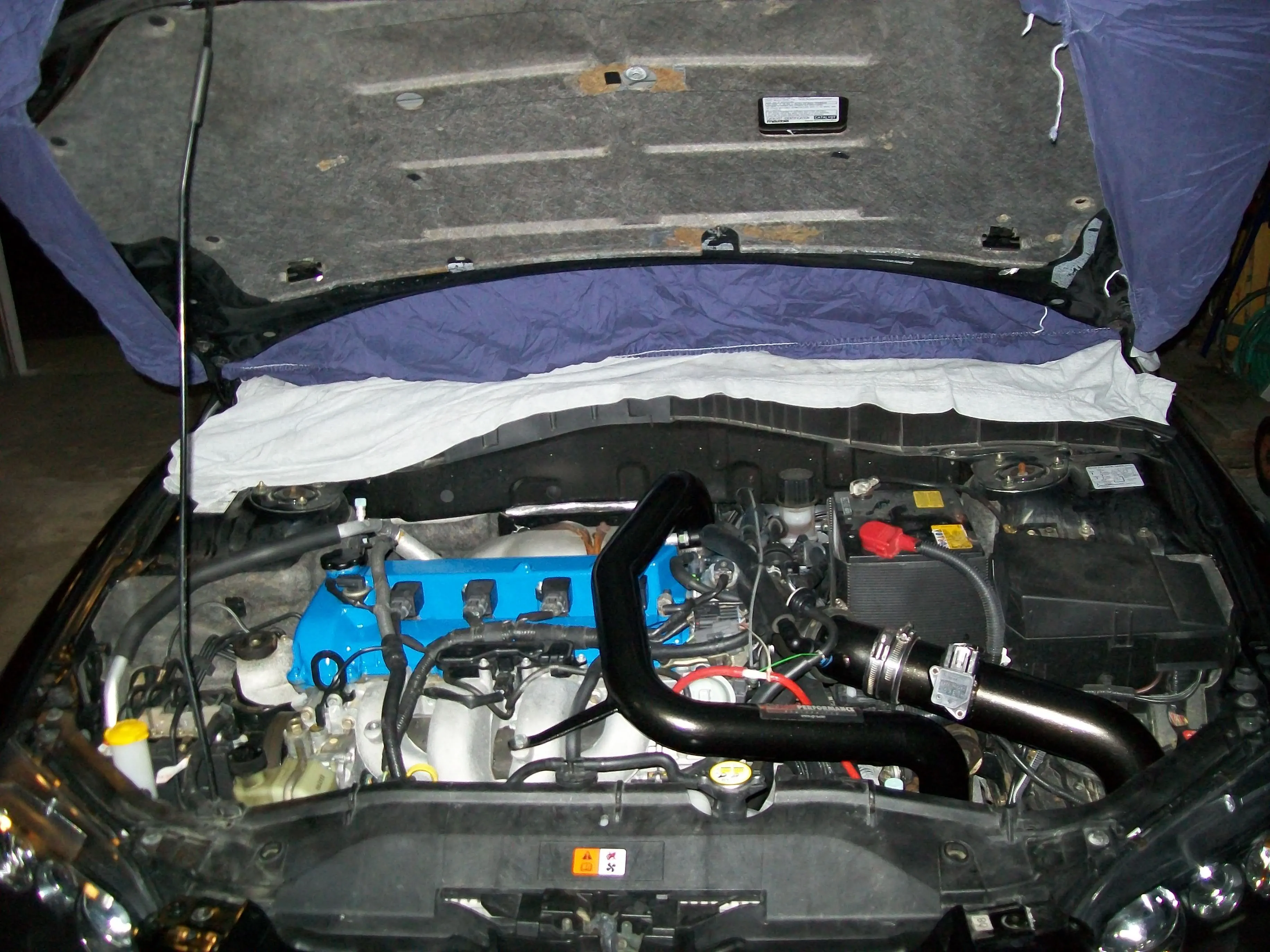 Picture 013.webp
