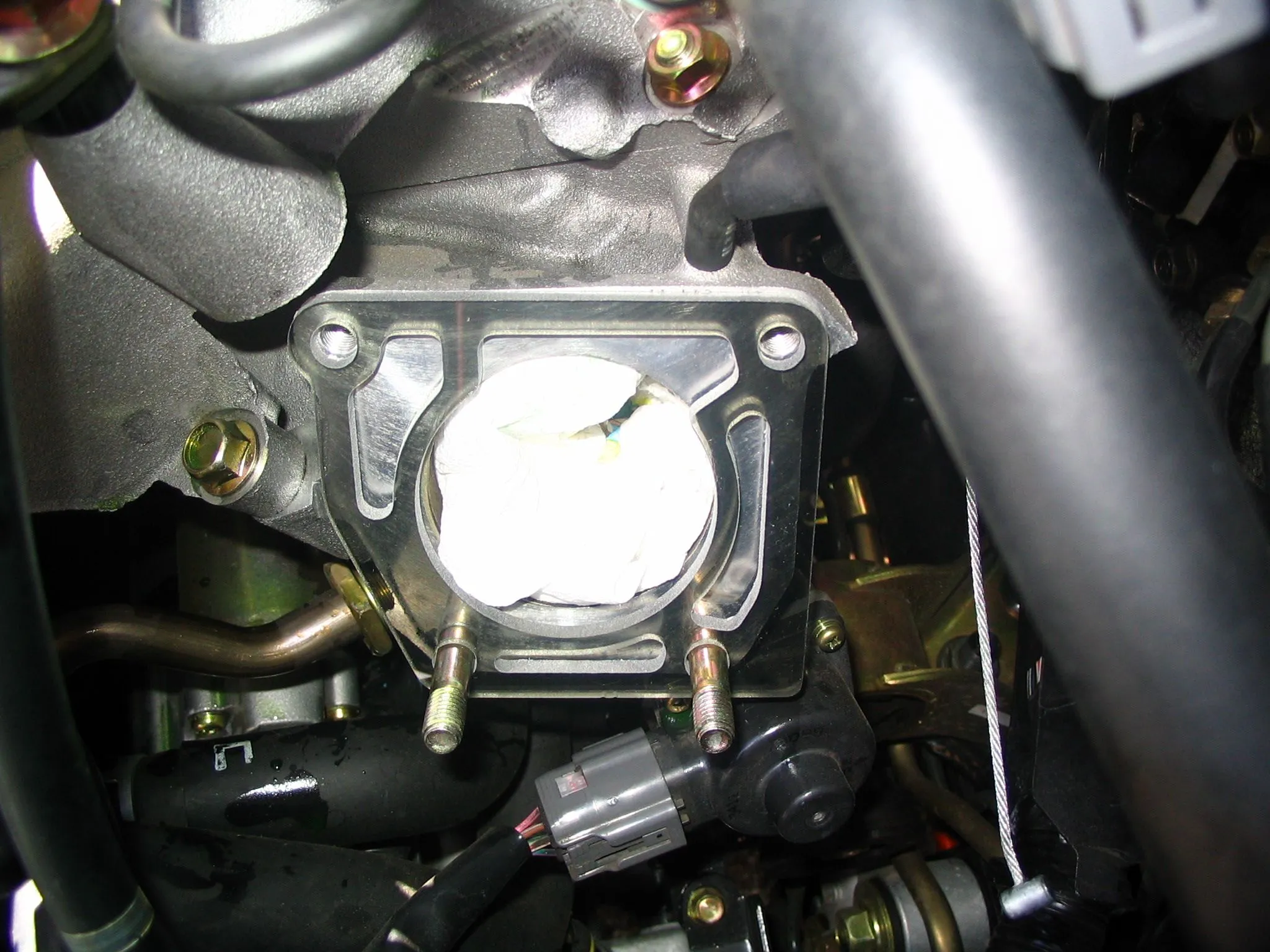 Picture 013.webp