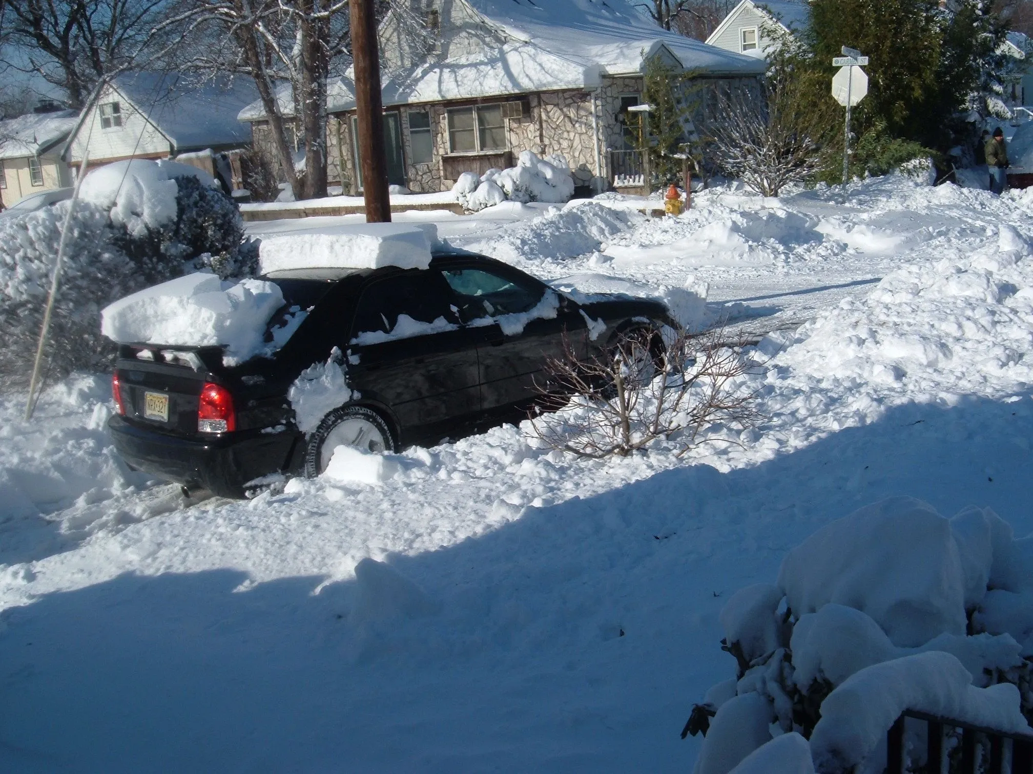 Picture 021.webp