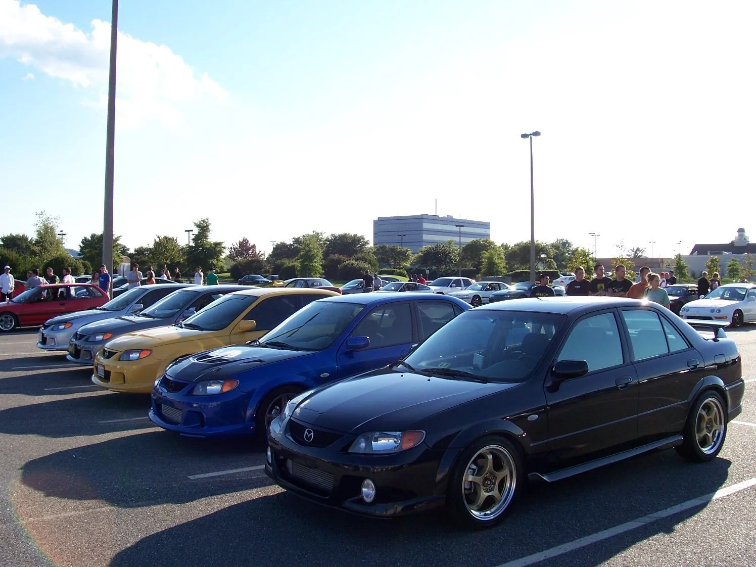 Picture 035.webp