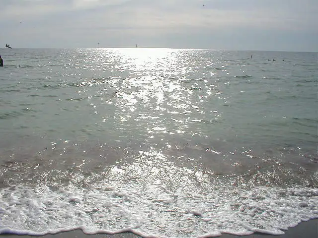 Picture 055.webp