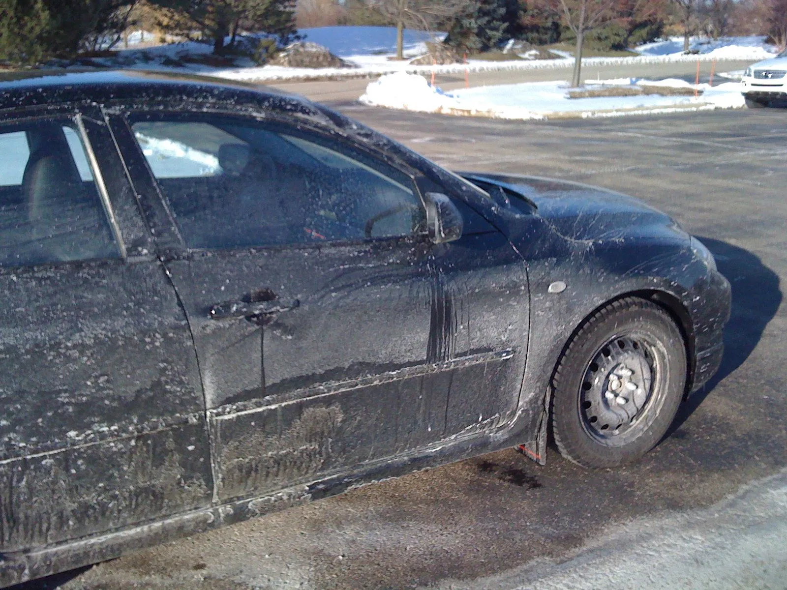 Picture 138.webp