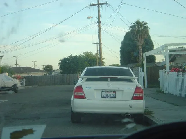 Picture 163.jpg