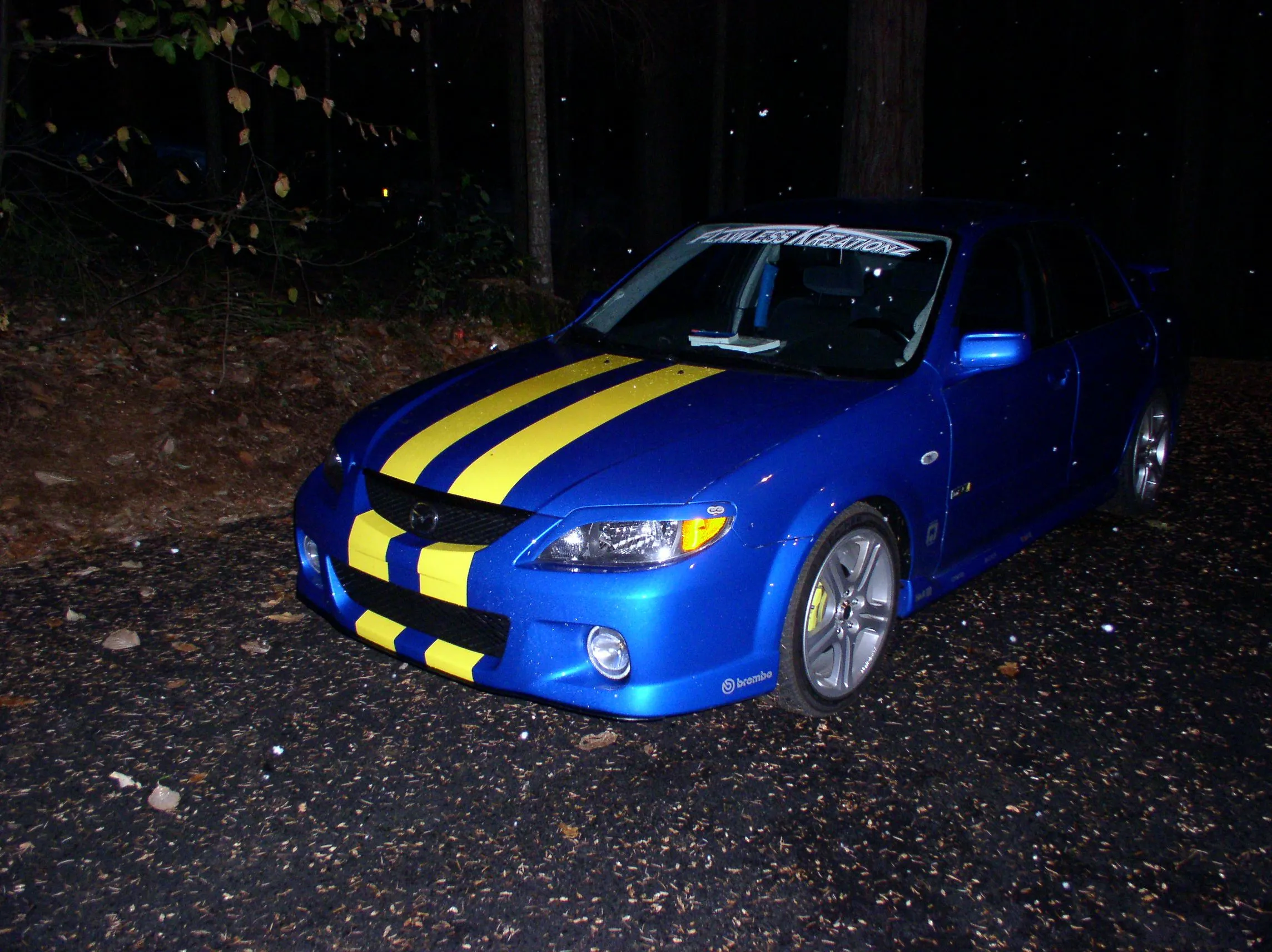 picture 276.jpg