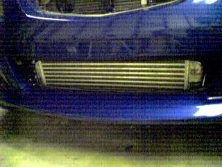 Picture008.webp