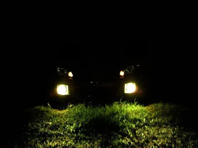 Picture018a.JPG.webp