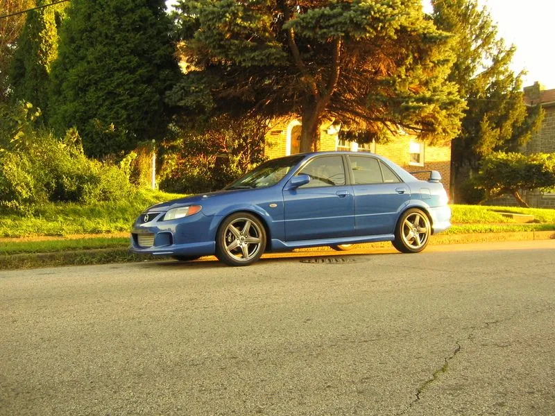 picture019lp0.webp