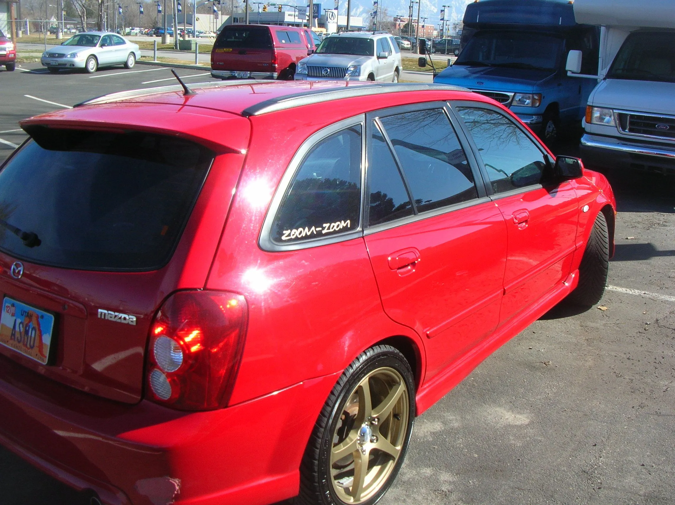 Picture1 007.webp