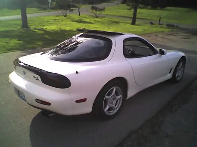 Picture188_05Feb06.webp
