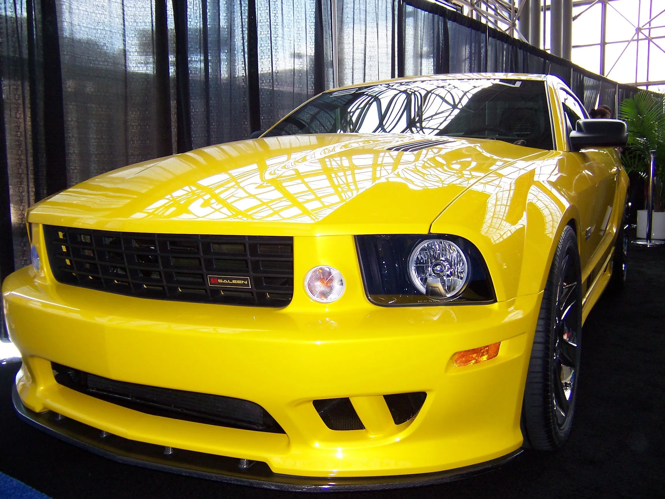 Picture_0781.webp