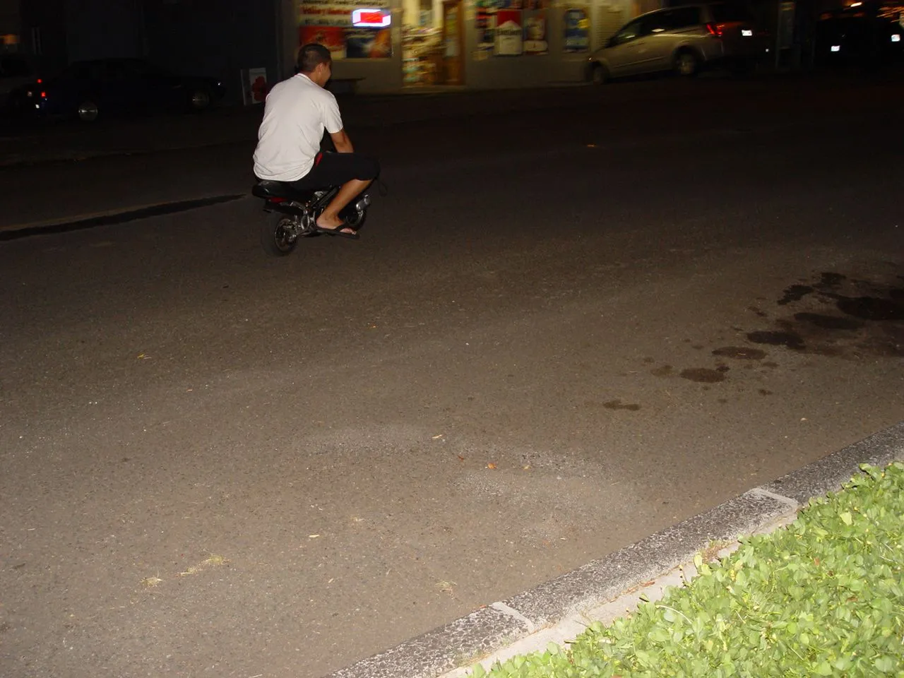Pictures 277.webp