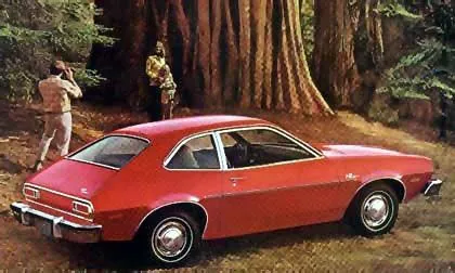 pinto-74.jpg