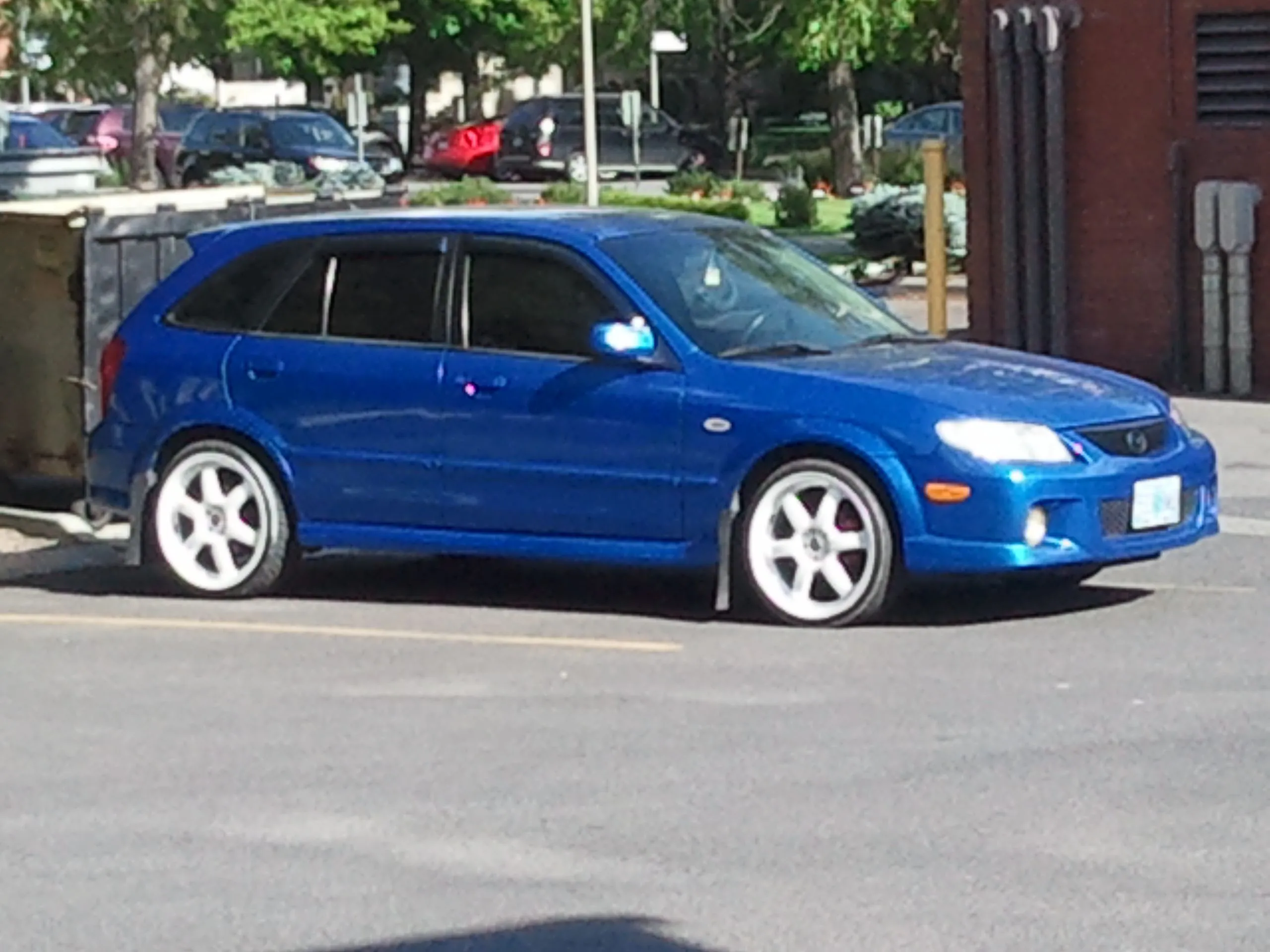 Plasti Rims (2).jpg