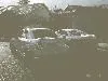 prote&celica2.webp