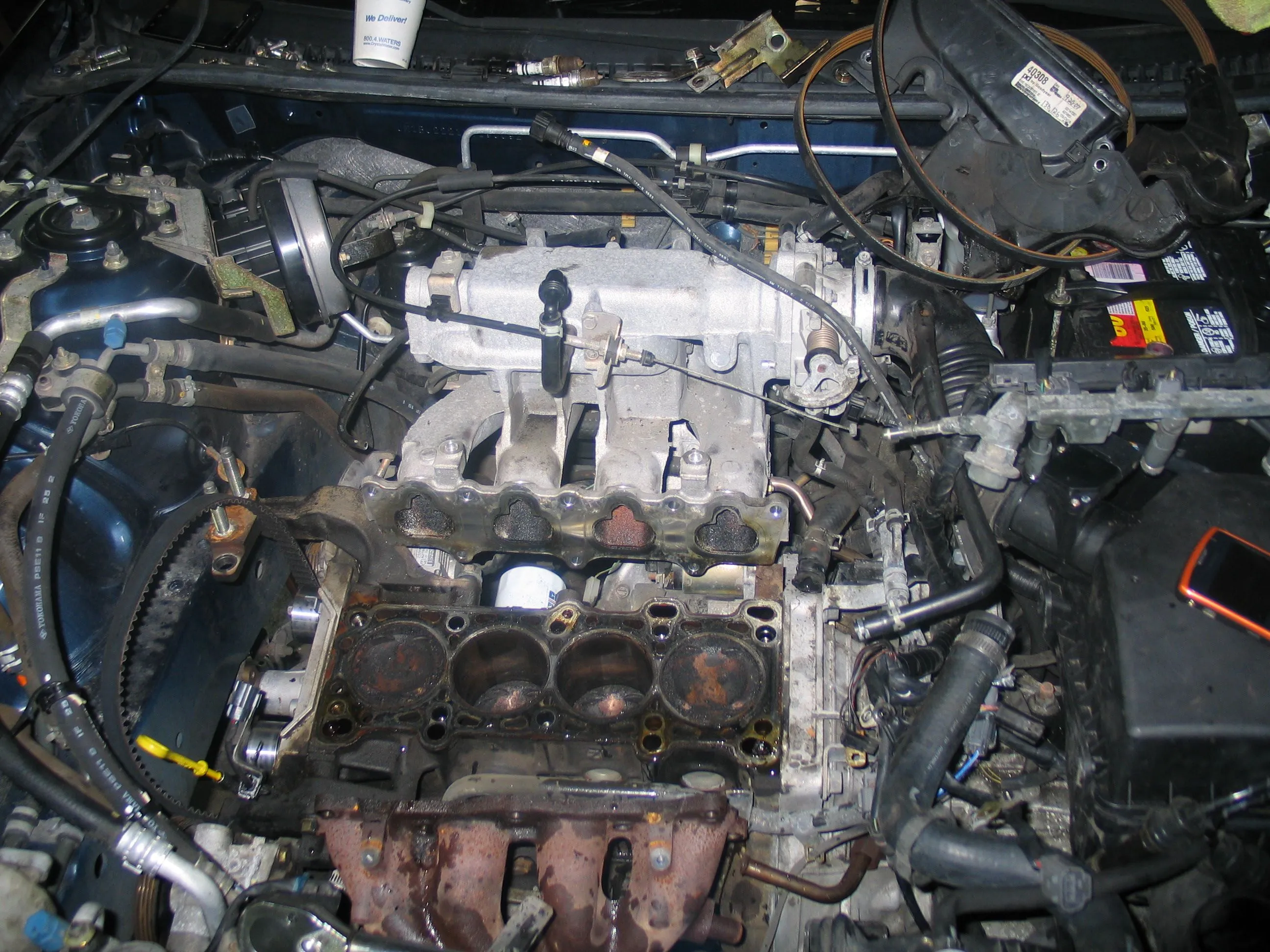 protege 002.JPG