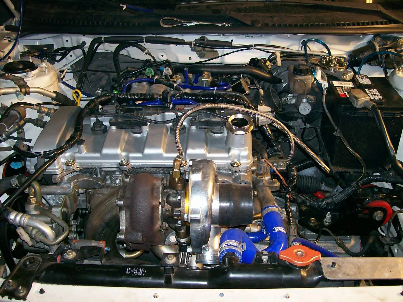 protege 029.webp