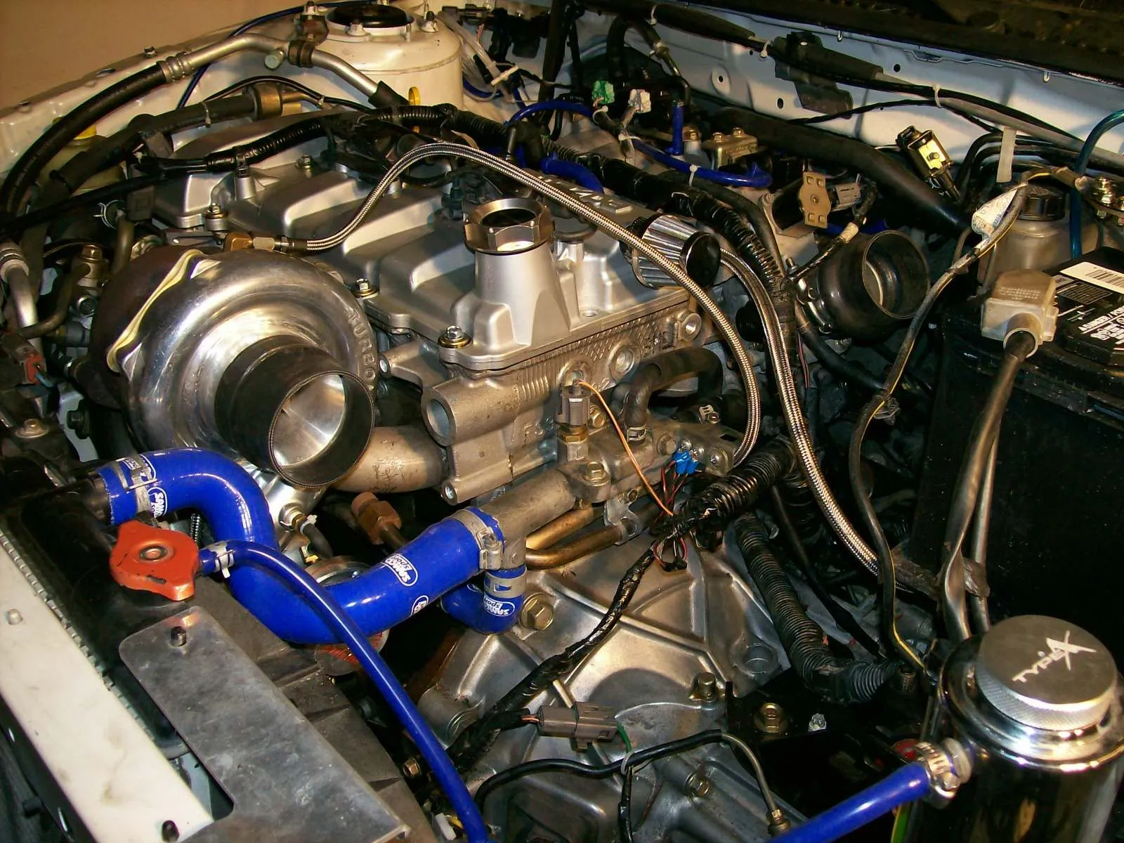 protege 034.webp