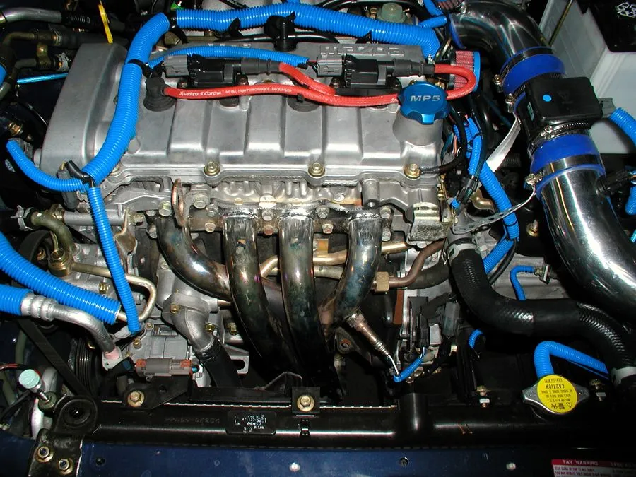 protege 5 header top.jpg