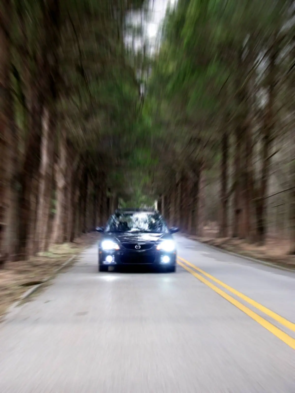 protege fast road.webp