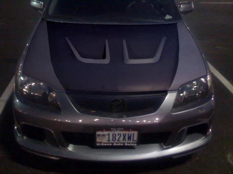 protege hood2.jpg