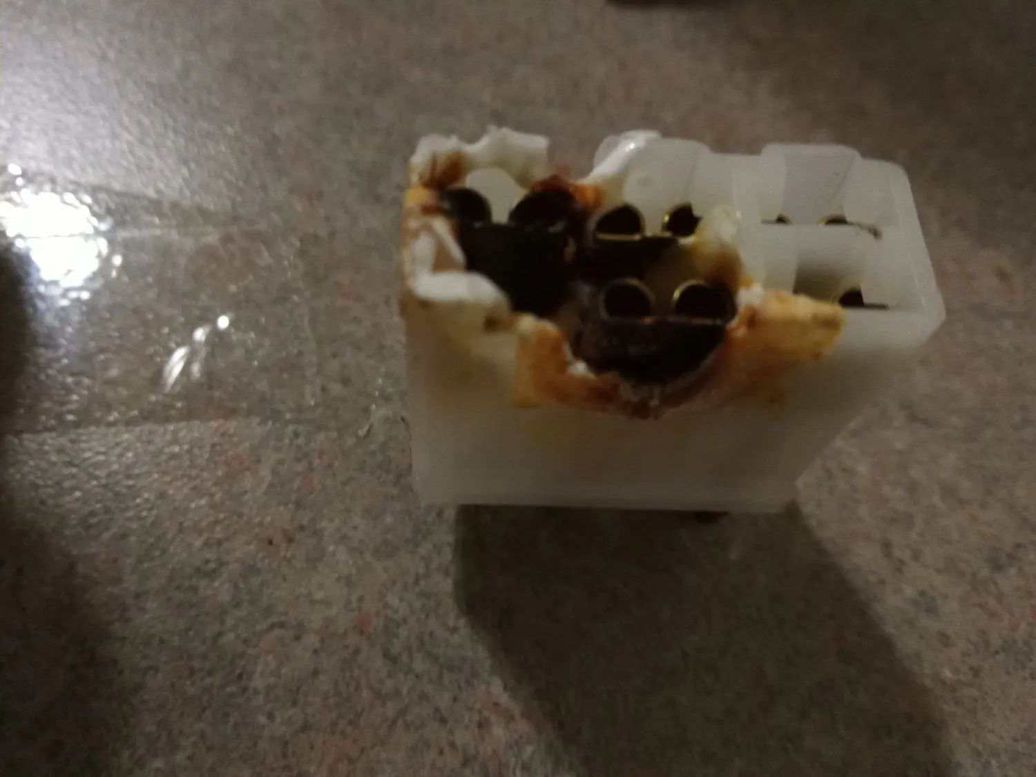 ProtegeBurntBlowerMotor.jpg