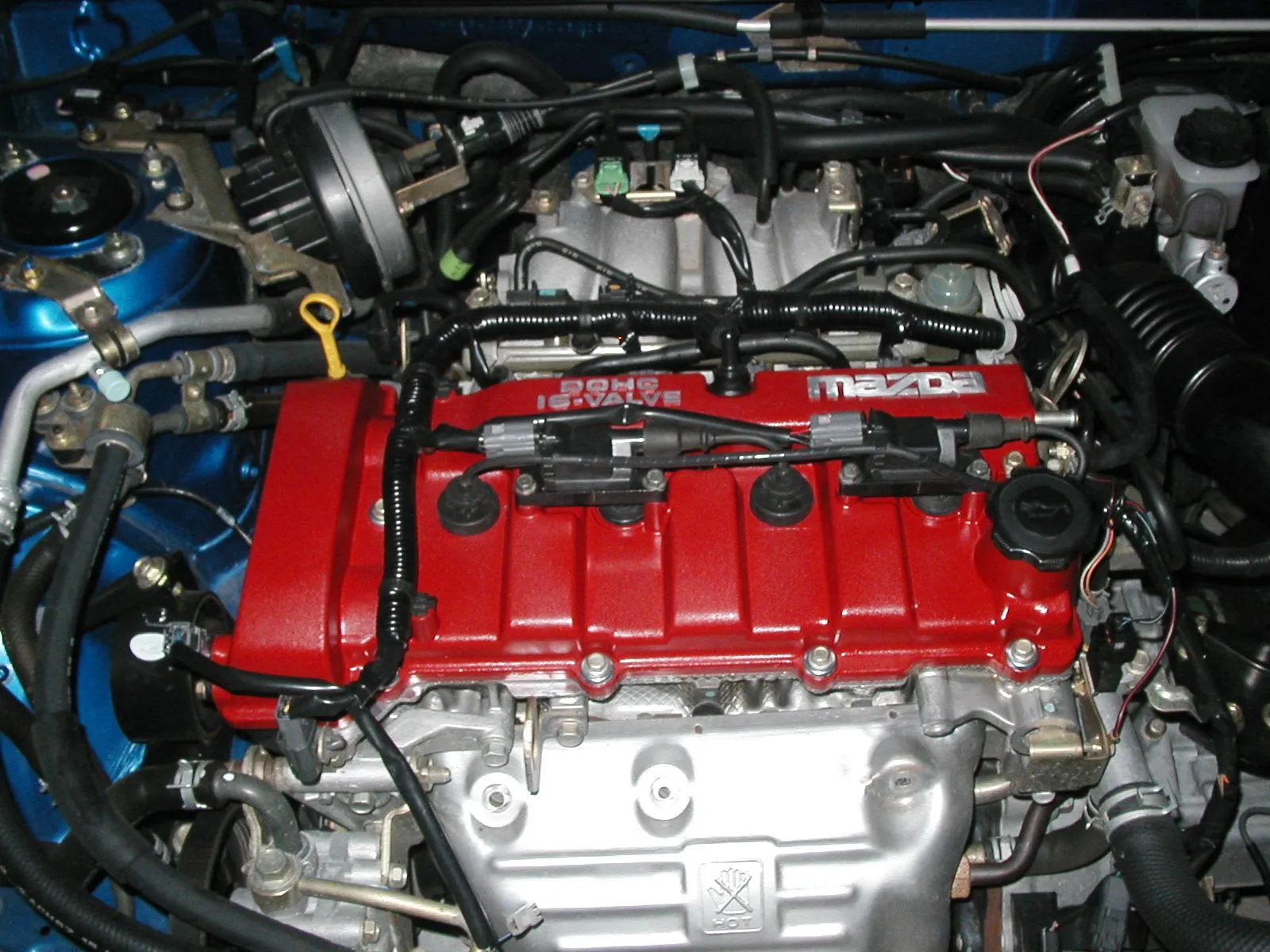 ProtegeVcover3 006.jpg
