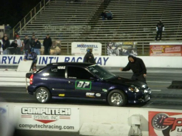 purple hatch.webp