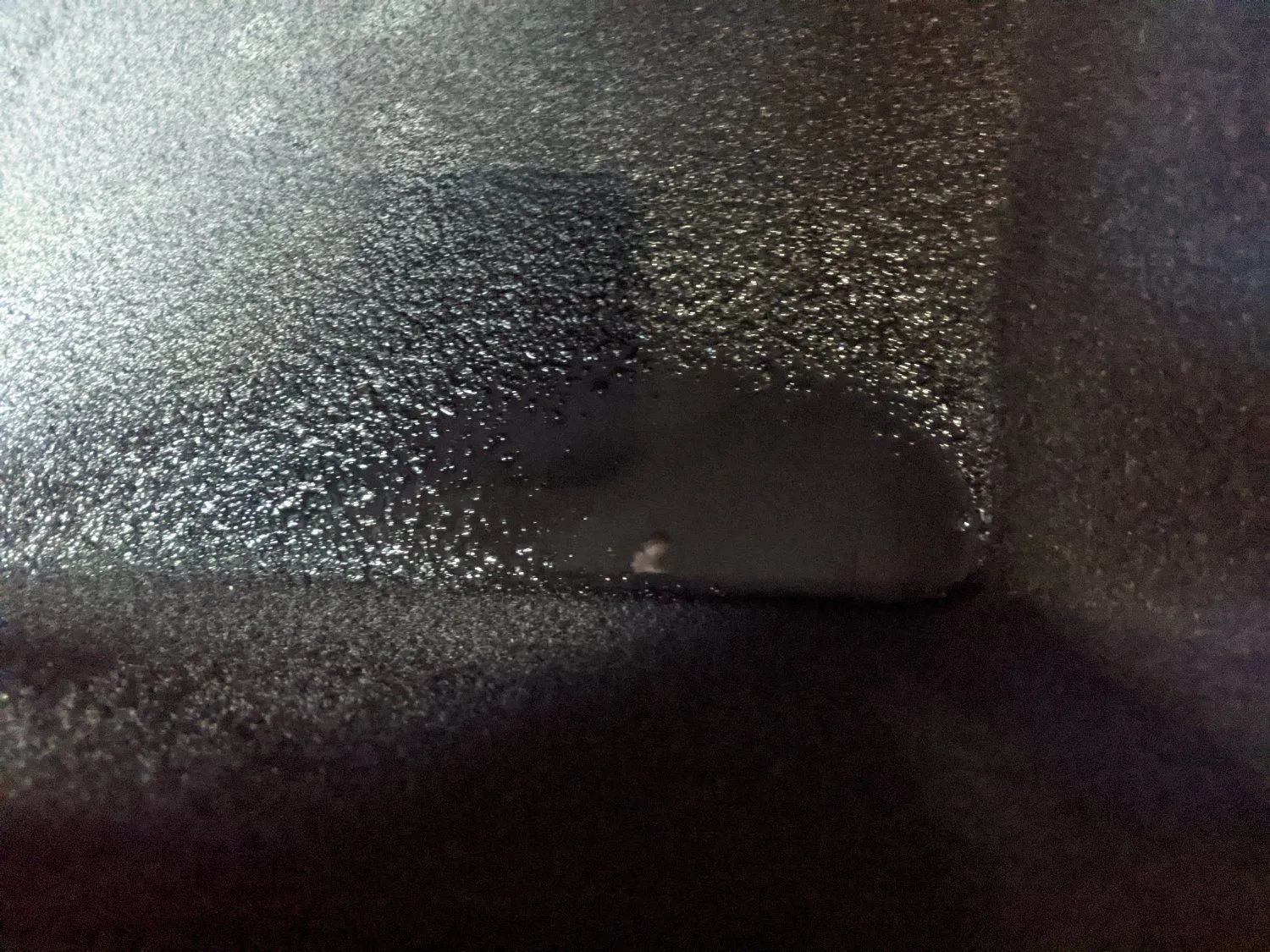 PXL_20210103_210234276.MP.jpg