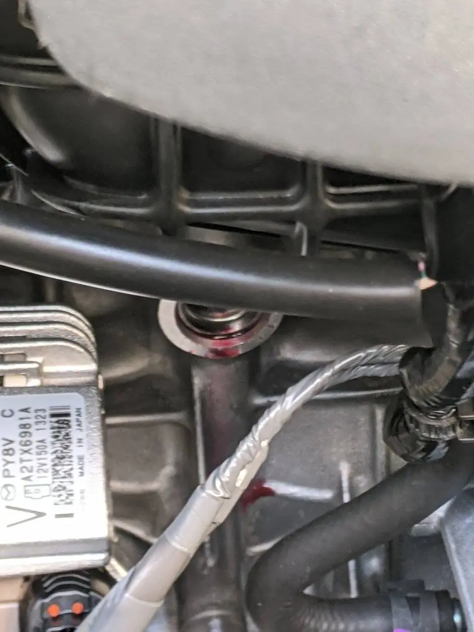 PXL_20210524_232706259.MP.jpg