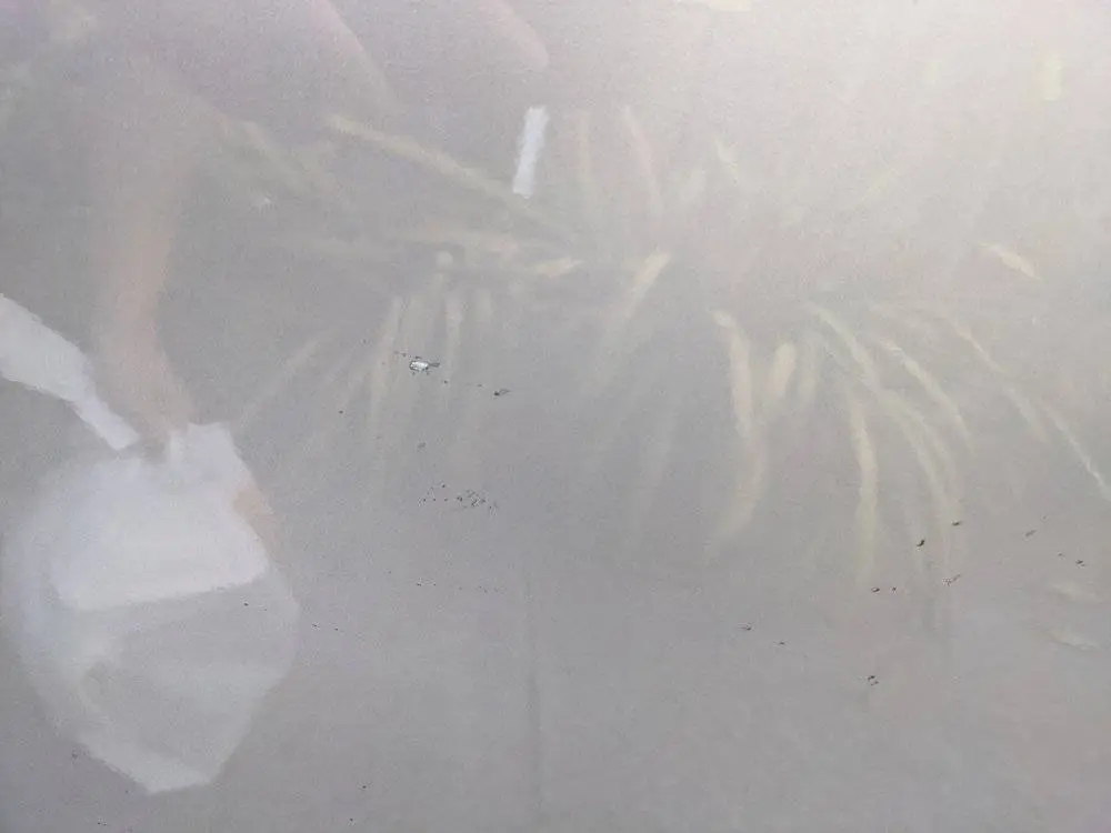 PXL_20211004_005434714.jpg