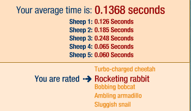 rabbit.jpg