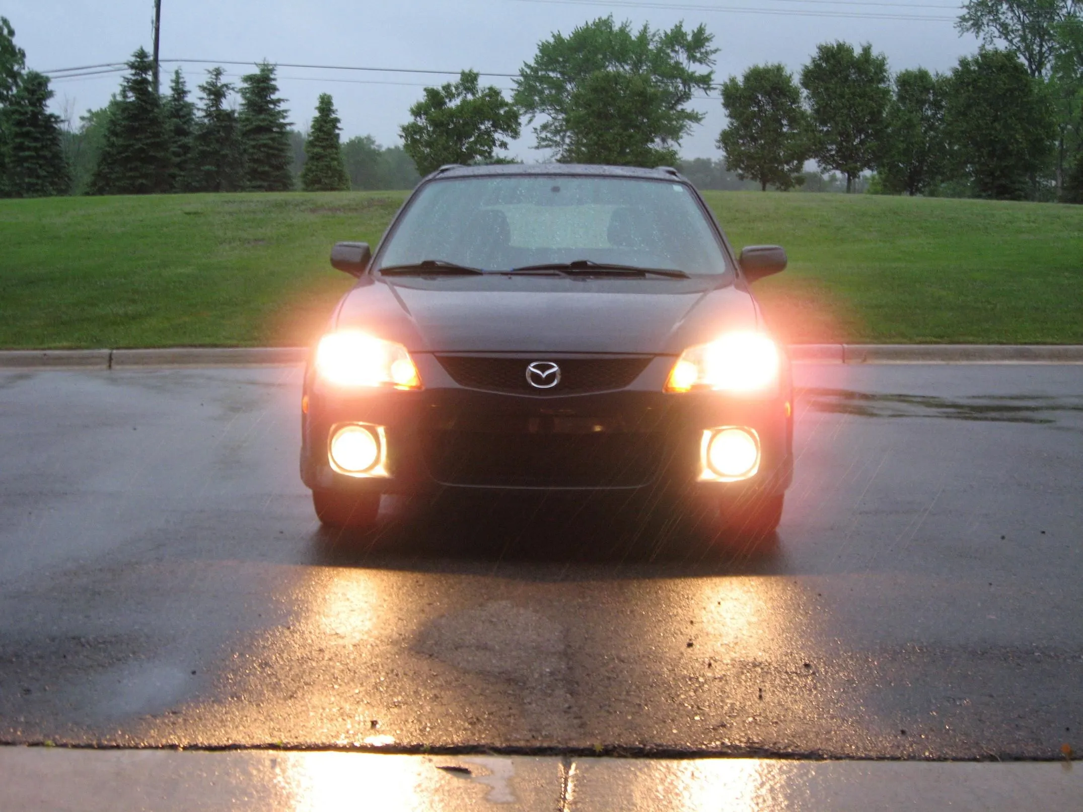 RainPic.JPG
