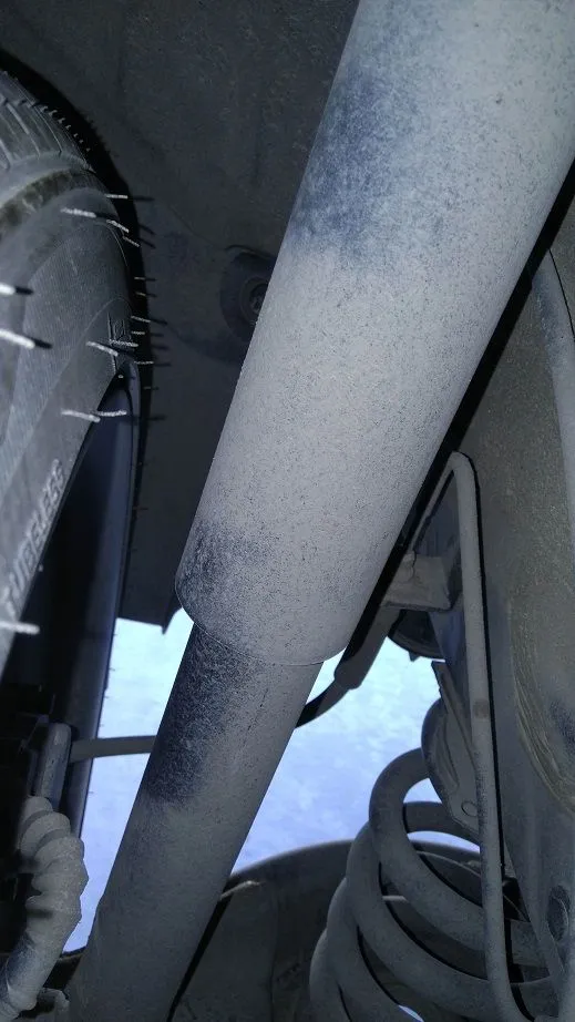 rear.jpg