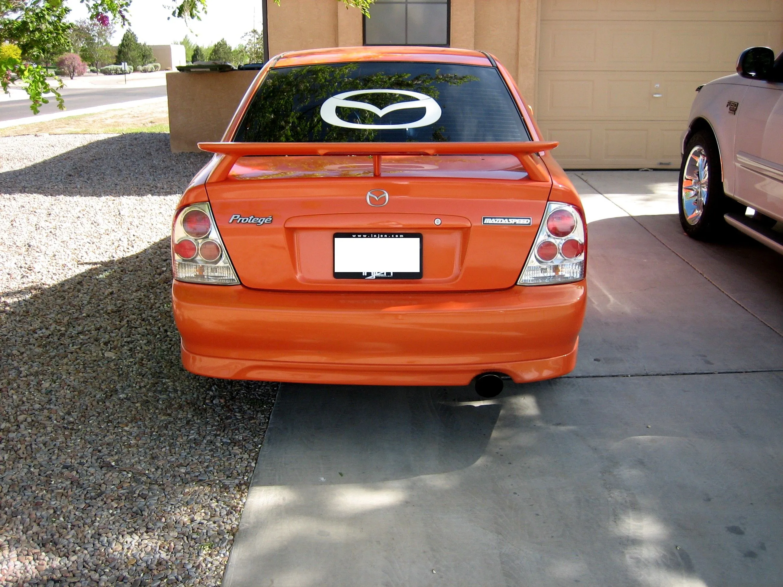 rear.webp