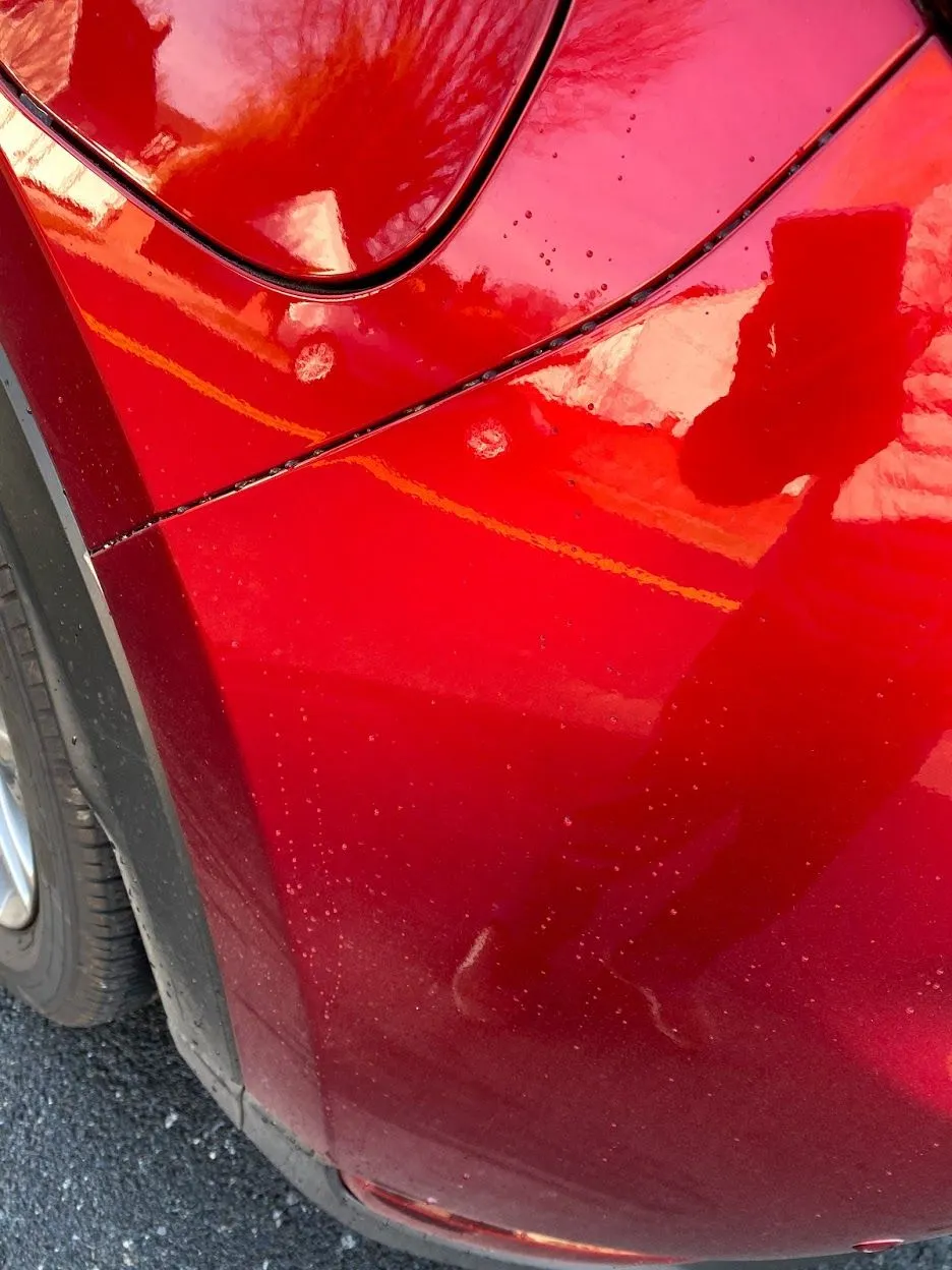 REAR1.jpg