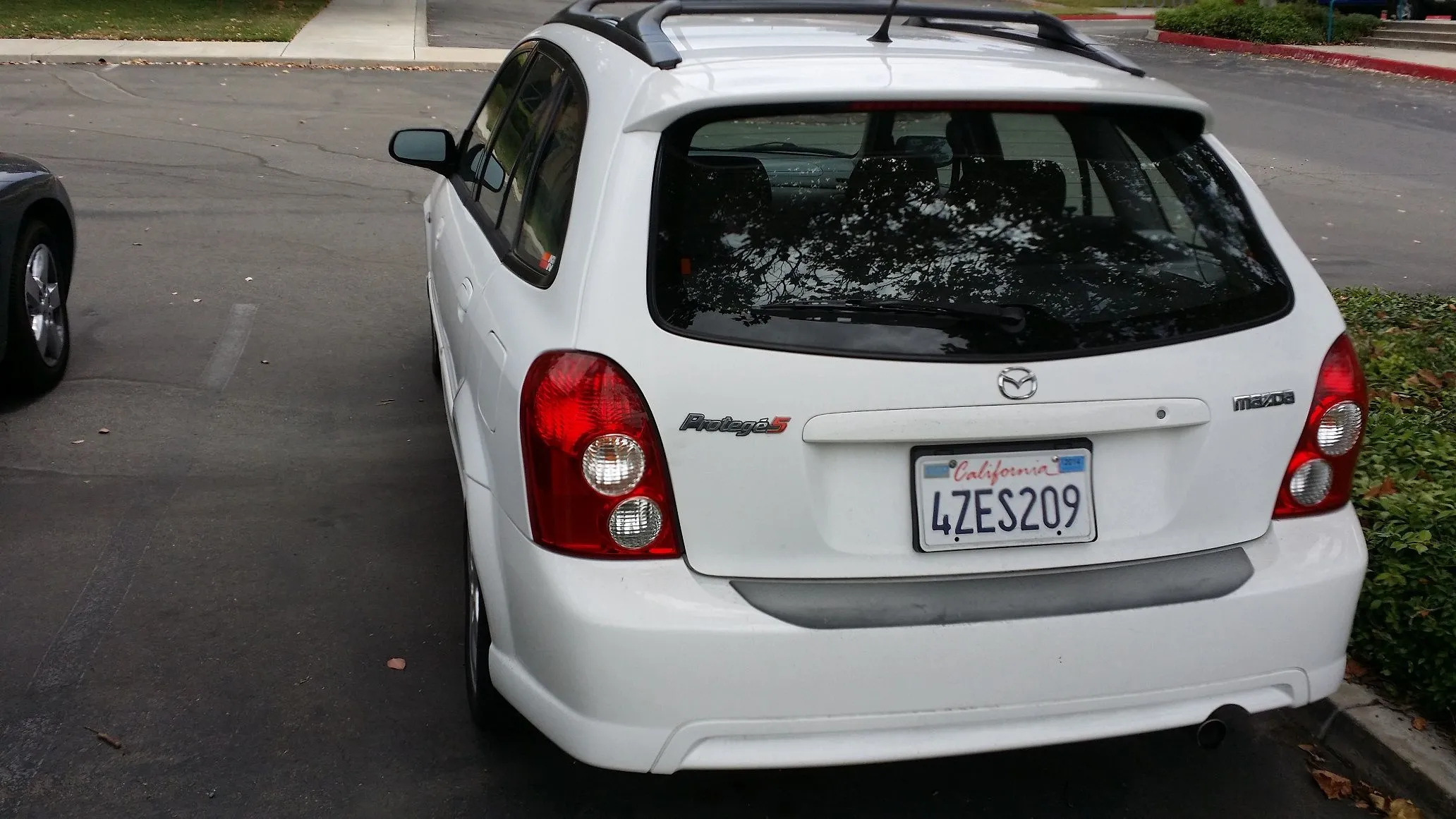 Rear1 small.jpg
